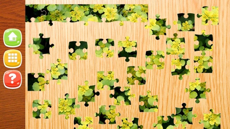 Flower Jigsaw Puzzle HD - New Jigsaw Games for Kids and Adults screenshot
