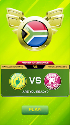 PSL Soccer Game Image