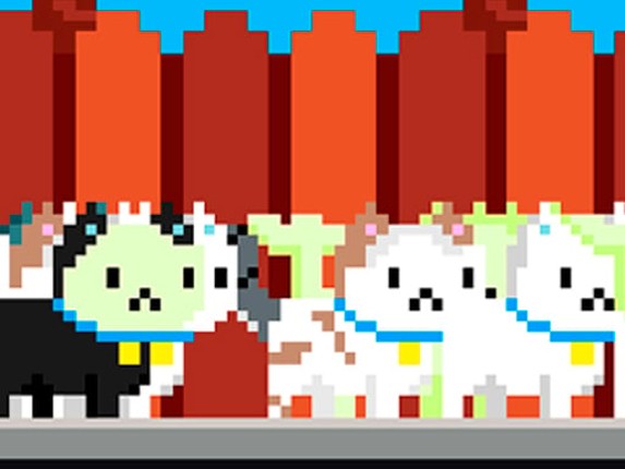 Kawaii Cute Cat Image