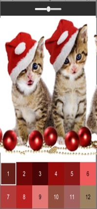 Meow Art Color By Number Image