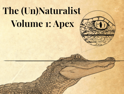 Games like The (Un)Naturalist: A Solo Journaling Expedition