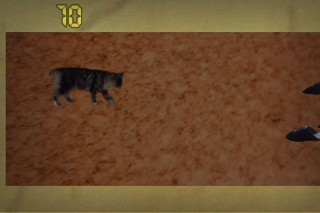 Tigran: The Slipper Attack Image