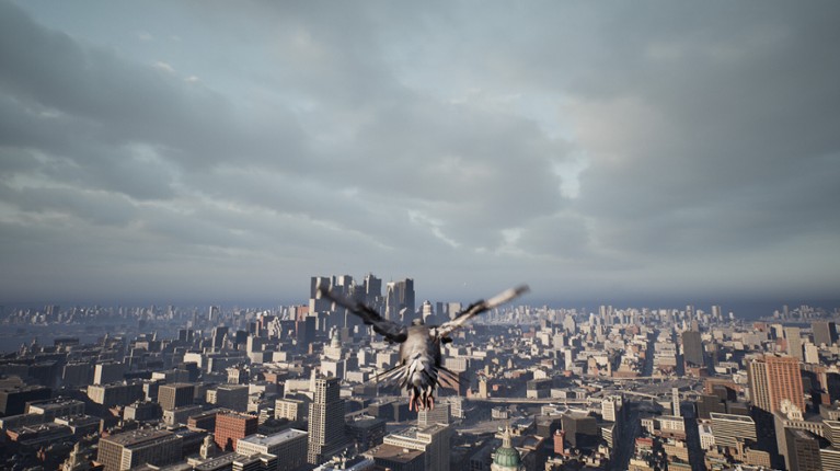 Pigeon Flight Simulator screenshot