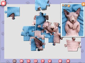 1001 Jigsaw. Cute Cats 5 Image