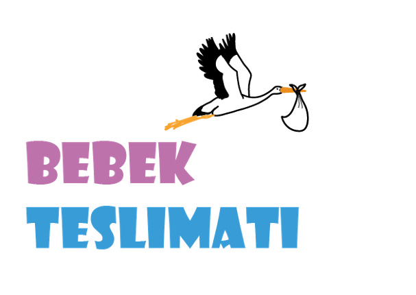 Bebek Teslimatı Game Cover