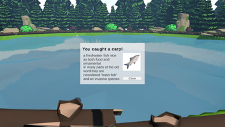 Late night fishing Image