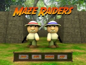 Maze Raiders Image