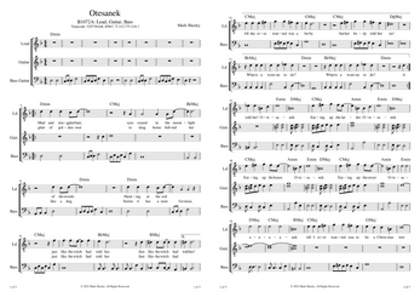 Sheet Music & Lyrics: Heart Of Snow Image