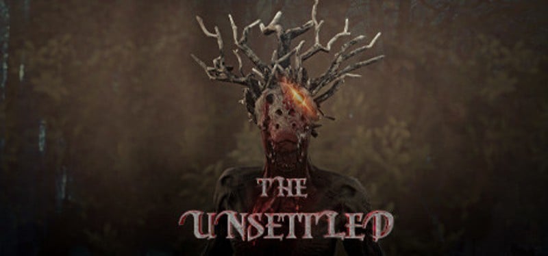 The Unsettled Image