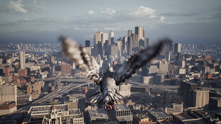 Pigeon Flight Simulator screenshot