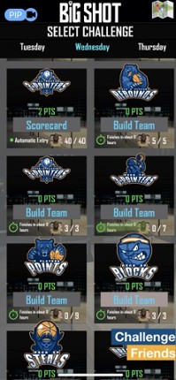 Big Shot Basketball screenshot