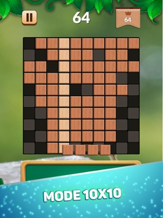 Block n Sudoku screenshot