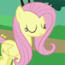 FlutterPack Image