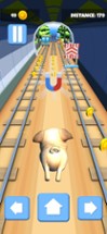 Fun puppy run Image