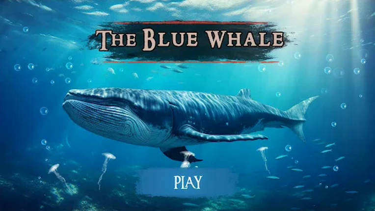 The Blue Whale Image