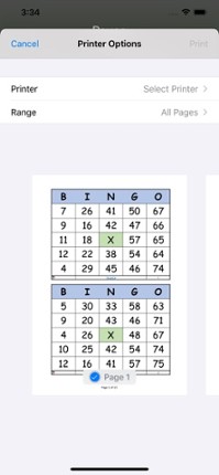 BINGO game Image