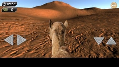 Drive Camel Simulator Image