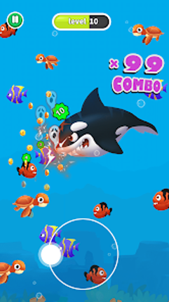 Fish Evolution Image