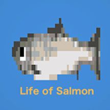 Life of Salmon Image