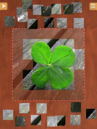 Leaf Puzzle Games - Real Picture Jigsaw Puzzles screenshot
