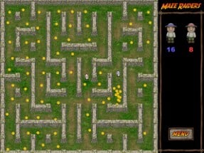 Maze Raiders Image