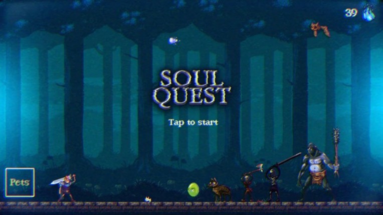 Soul Quest Arcade Image