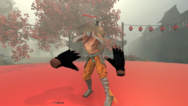VR Immortal Fight Image