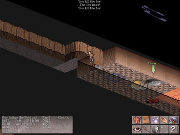 Vulture for NetHack Community Edition screenshot