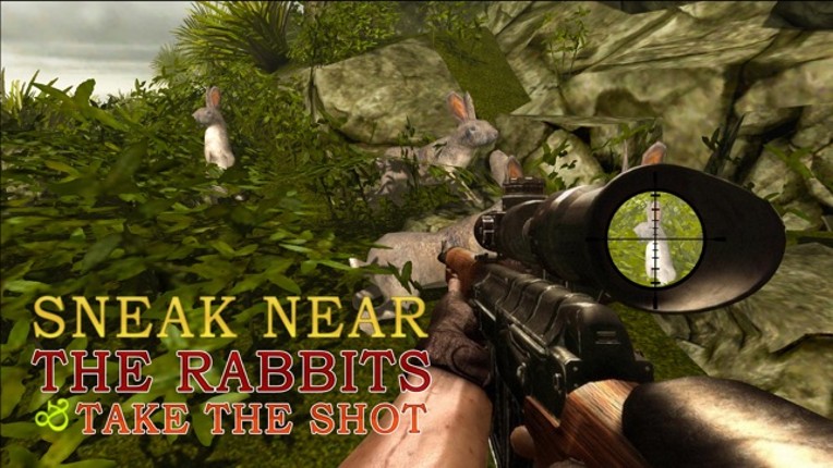 Wild Rabbit Hunter Simulator – Shoot jungle animals in this sniper simulation game Image
