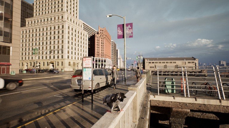 Pigeon Flight Simulator screenshot