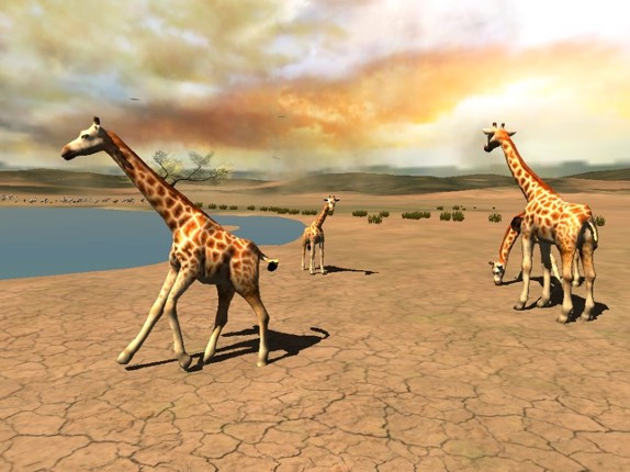 Africa Wild Free screenshot