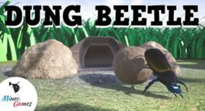 Dung Beetle Image