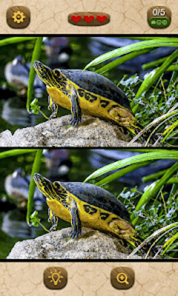 Find the differences screenshot