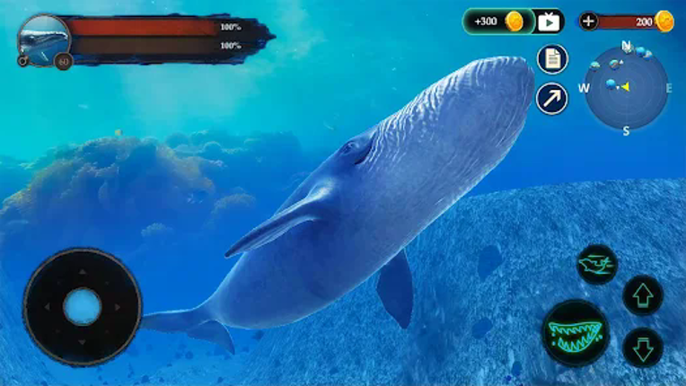 The Blue Whale screenshot