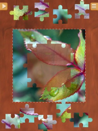 Leaf Puzzle Games - Real Picture Jigsaw Puzzles screenshot