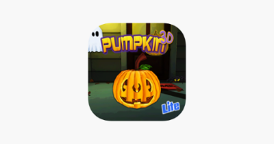 Pumpkin 3D LITE Image