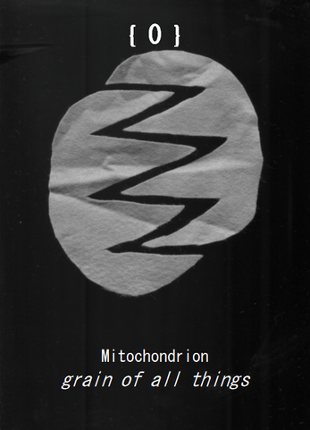 RATTLERSE - a tarot screenshot