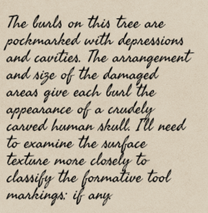 The (Un)Naturalist: A Solo Journaling Expedition Image