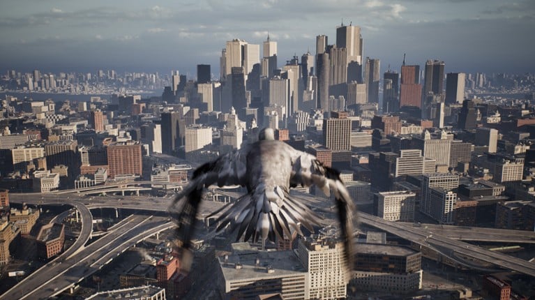 Pigeon Flight Simulator screenshot