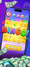 Bingo Cash: Win Real Money Image