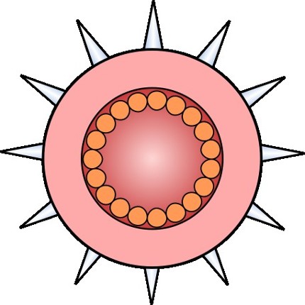 Cell Warfare Image