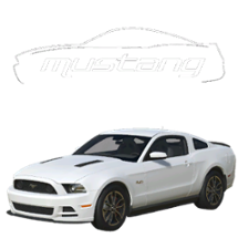 2013-14 Ford Mustang (IC & Passenger) Image