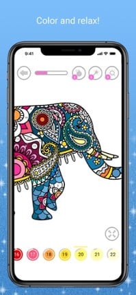 Mandala Color by Number Image