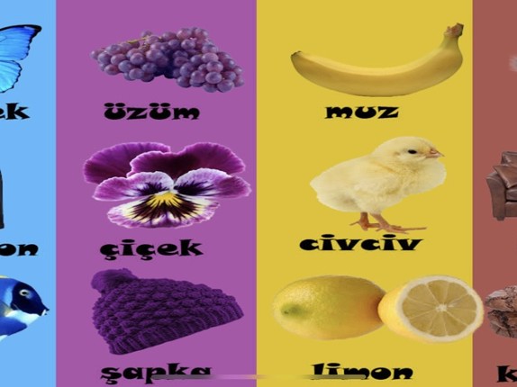 Renkler Şekiller Sayılar Image