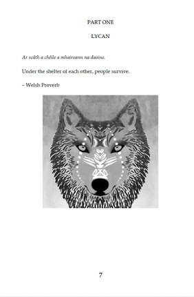 Spiritborne (The Spirits' War Trilogy, #1) Image