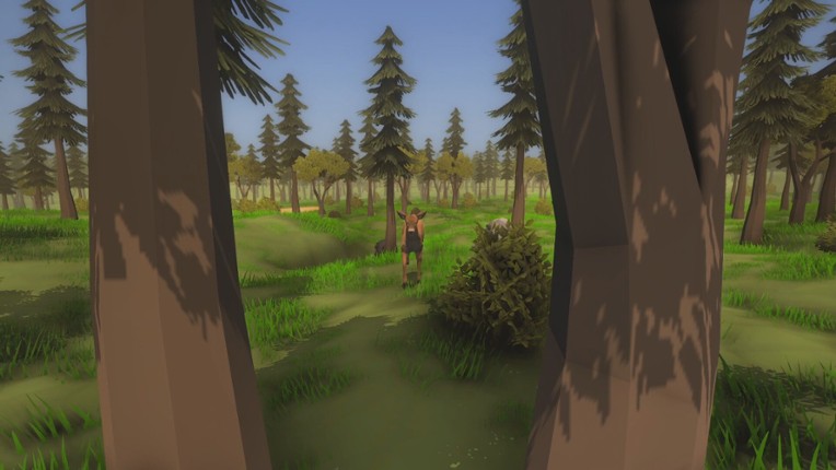 Wild Frontier screenshot