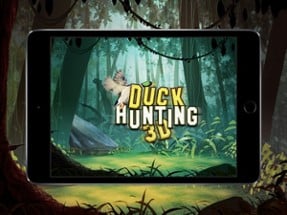 Duck Hunting Sport 3D Image