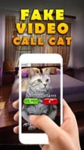 Fake Video Call Cat Image