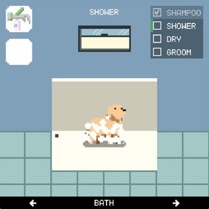 Dog Wash Image