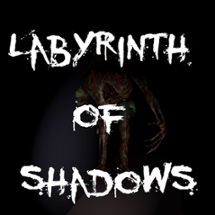 Labyrinth of Shadows Image